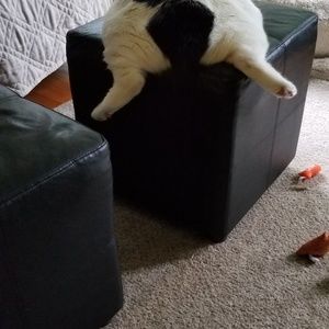 Meet your Posher, Jeff